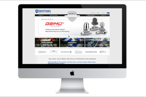 Sentinel Web Design